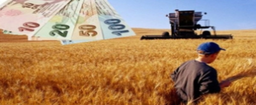 Çiftçilere 1,3 Milyar Lira Destek Ödemesi