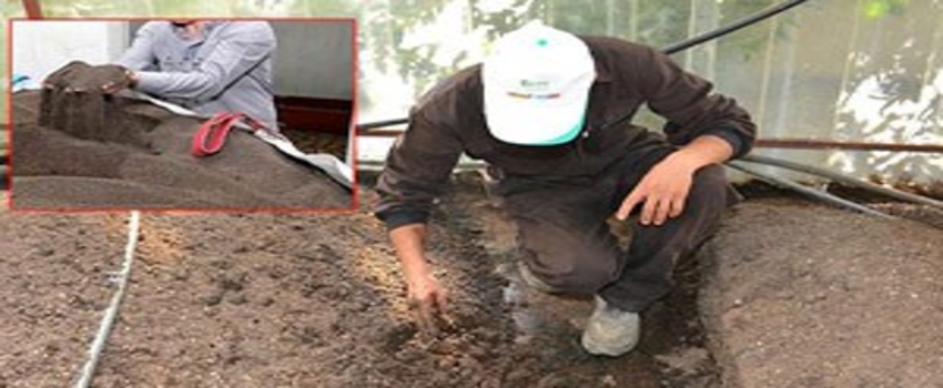 Atıklarla Beslediği Solucanlardan Organik Gübre Üretiyor