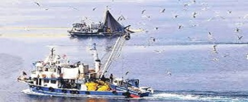 28 İldeki Bin 350 Balıkçı Gemisine Bagis Cihazı Takılacak