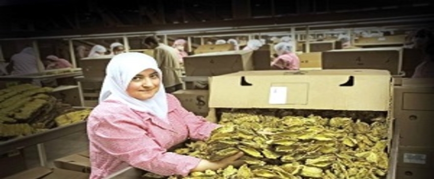 Ege İhracatı Yükselişe Devam Ediyor