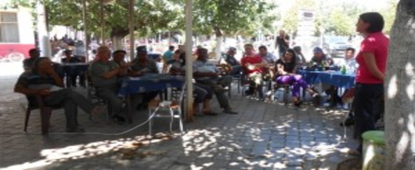 Domates Zararlısı Erken Uyarı Sistemiyle Tespit Edilecek