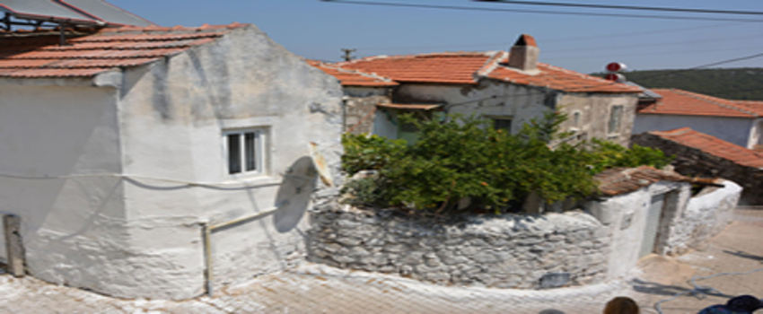 Köyde Şenlik Var