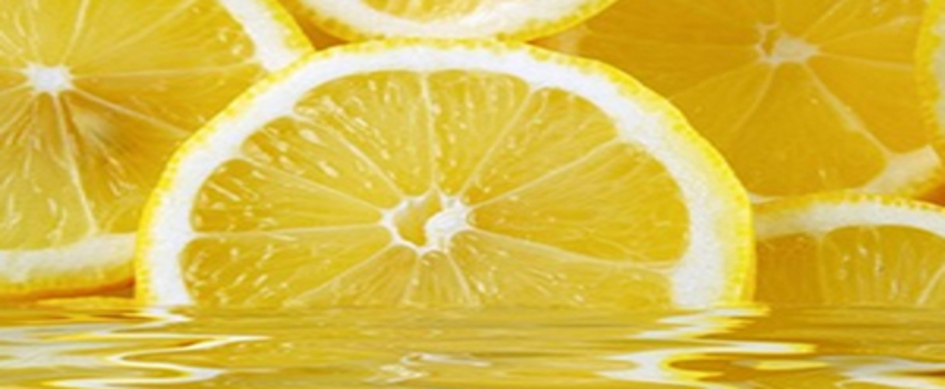 Muğla`da Limon İhalesi