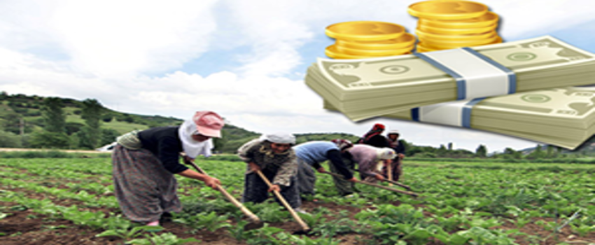 Bitkisel Üretim İşletme Kredisi