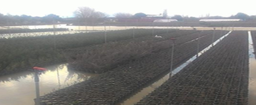 Ekili Alanlar Su Altında Kaldı