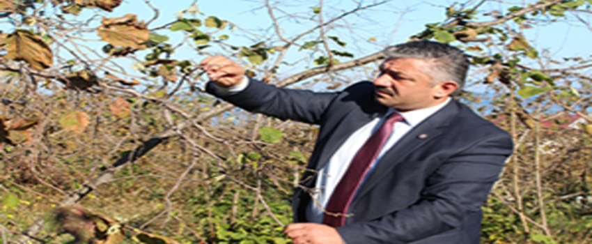 Üreticilere Tarım Sigortası Çağrısı