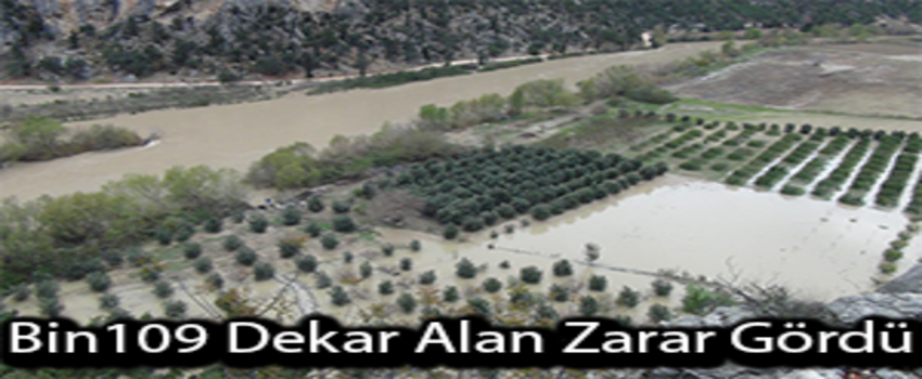 Bin 109 Dekar Alan Zarar Gördü