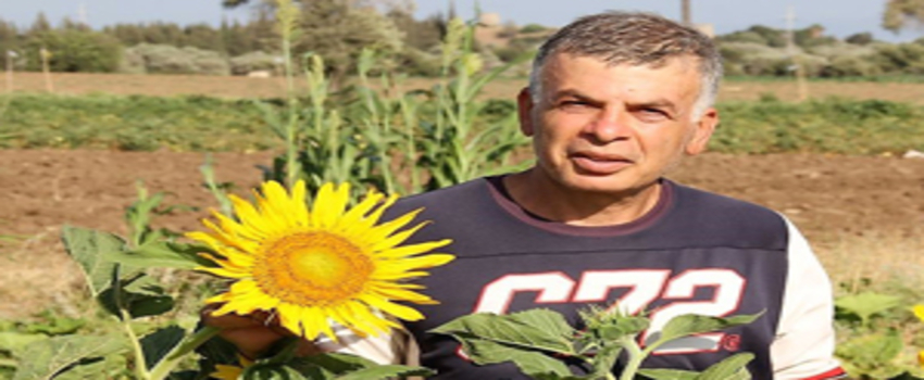 İlk Yerel Tohum Hasadı Yapıldı