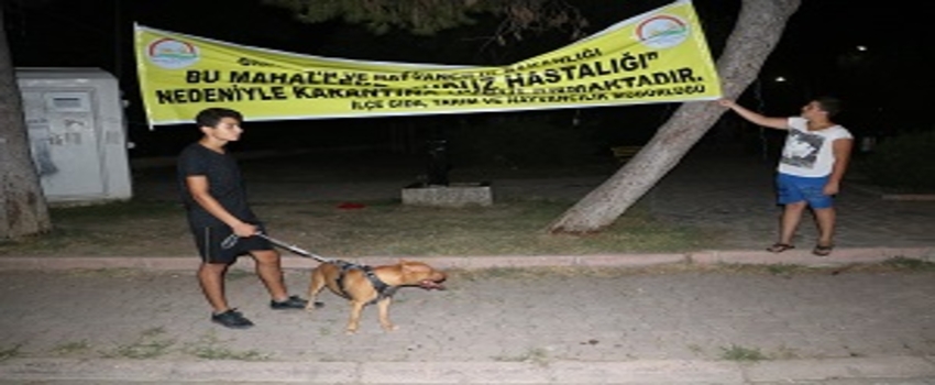 Adana`da Kuduz Şüphesi