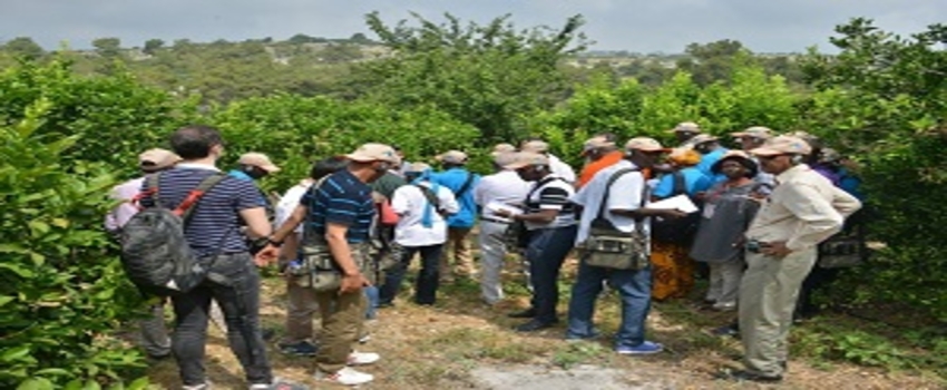 Afrikalı Ormancılara Türkiye`deki Ormancılık Faaliyetleri Anlatıldı
