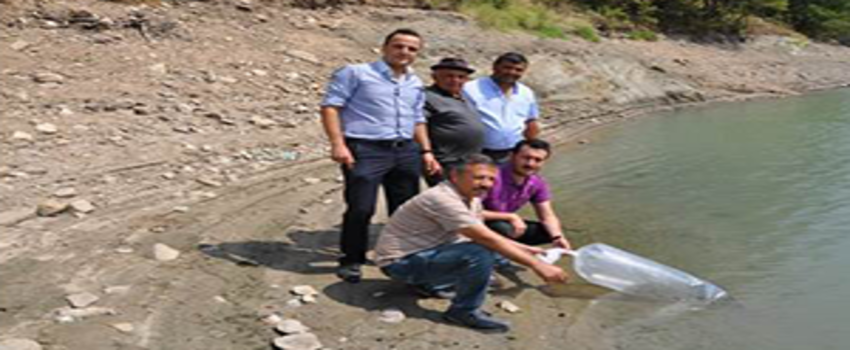 Simav`da Göletlere 27 Bin Yavru Balık Bırakıldı