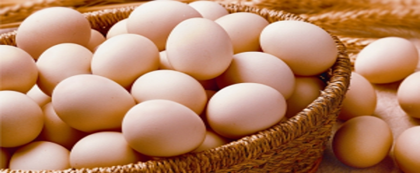 Türkiye`deki Yumurtalarda Fipronil Çıkmadı