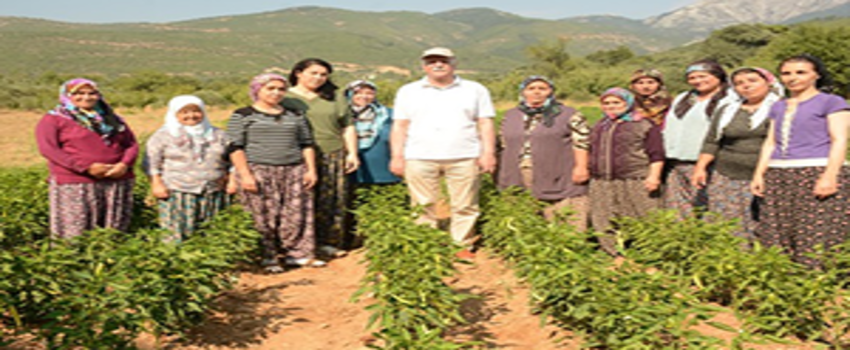 Dünya Kadın Çiftçiler Günü.