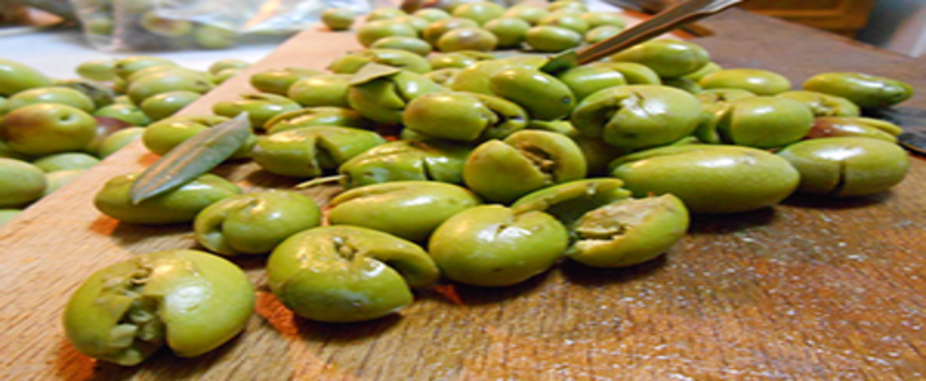 Zeytin Rekoltesinin %10`u Kırma Olarak Değerlendirilecek