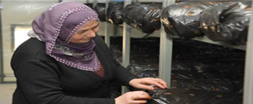 Üreticiye Destek