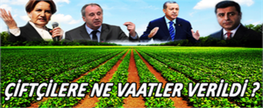 Siyasi Partilerin Tarım Vaatleri