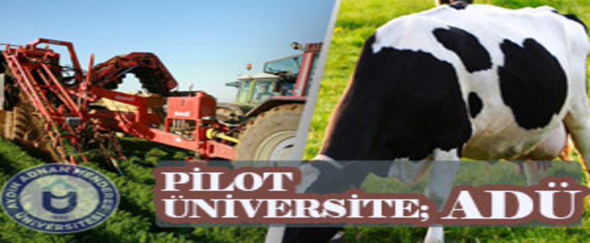 ADÜ Pilot Üniversite Oldu