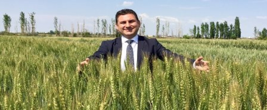 TÜRK BUĞDAYI`NDA `TANER` SEVİNCİ