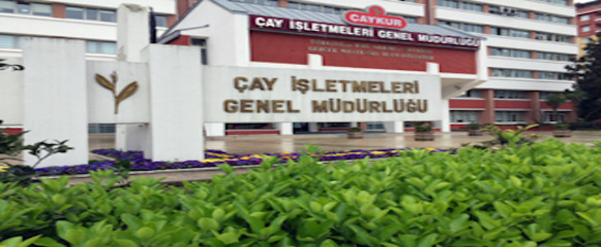 Dondurmalı çay geliyor