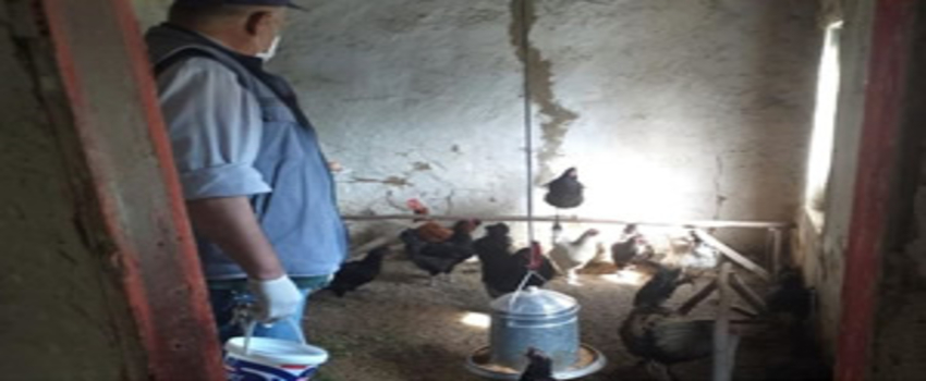 CİMER`e Talep Etti, Karantina Bölgesindeki Hayvanlarının Yemlenmesini Sağladı
