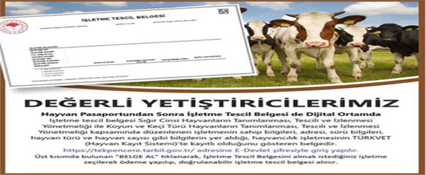 BELGELERİNİZ DİJİTAL ORTAMDA HAZIR!