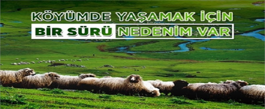 Van`da `Köyümde Yaşamak İçin Bir Sürü Nedenim Var` Projesinin Süresi Bir Yıl Uzatıldı