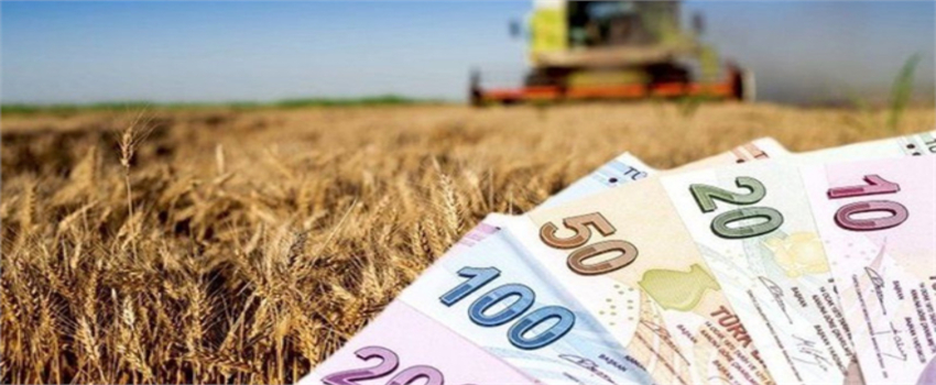 BAKAN KİRİŞCİ: `GIDA VE TARIM ALANINDA İHRACATIMIZI 30 MİLYAR DOLARA ÇIKARDIK`