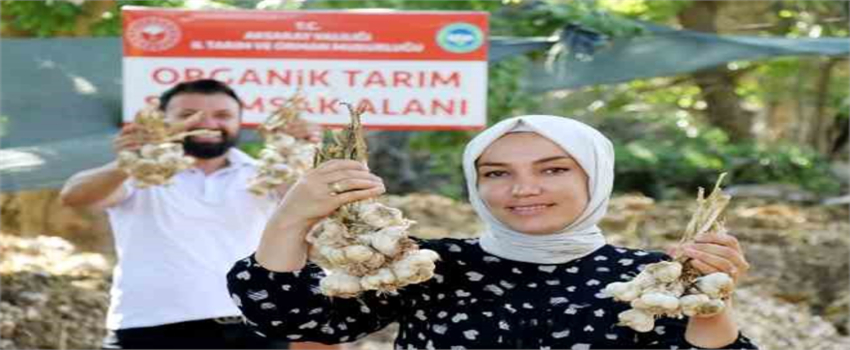 Rusya ve Almanya`nın Organik Antibiyotiği Aksaray`dan