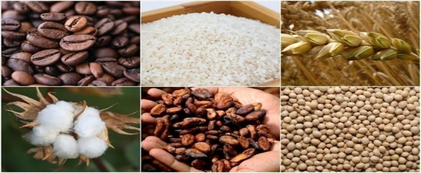 Emtia Piyasasında Geçen Hafta Sert Dalgalanmalar Öne Çıktı
