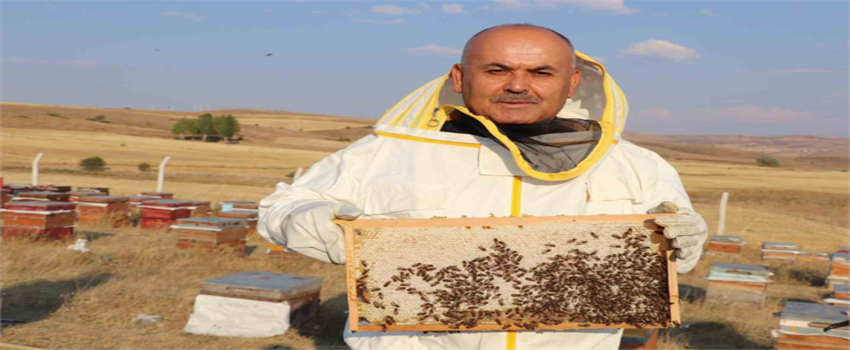 Sivas Çiçek Balı Üretiminde İlk Sırada