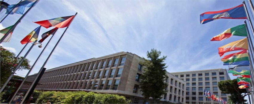 WFO 2024 Genel Kurulu: FAO Kapılarını Dünya Çiftçilerine Açıyor