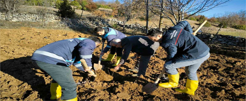 Kütahya`da Ceviz Yetiştiriciliğinde Çığır Açan Proje