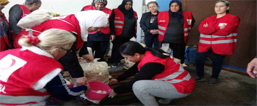 Dezavantajlı Kadınlar Kozan`da Mantar İle Ekonomik Özgürlüğün Anahtarını Buluyor!