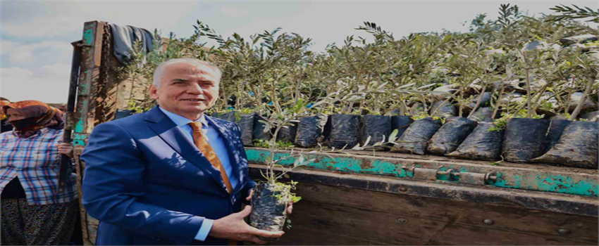 Başkan Osman Zolan, Geleceği Yeşertiyor: Denizli`de 600 Yıl Boyunca Ürün Verecek!