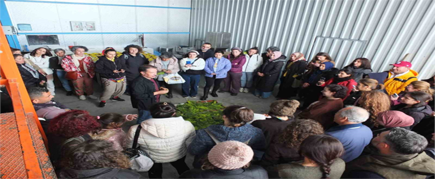 BAÇEM`de Kurs Bitmiyor, Markalar Doğuyor: Tıbbi Aromatik Bitkilerle Geleceğe Yolculuk!
