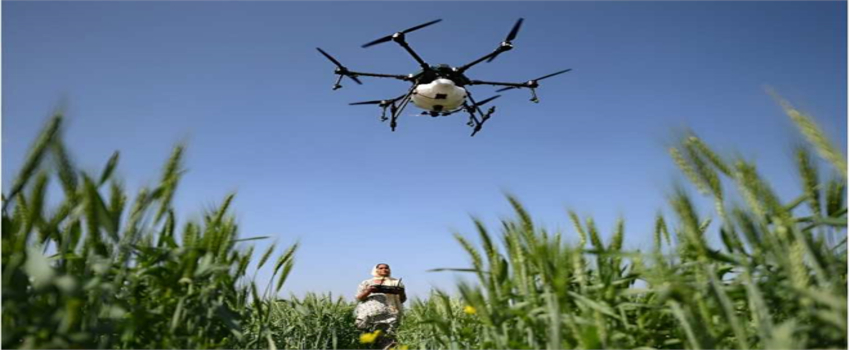 Drone Sister Programıyla Kadınlar, Hindistan`ın Tarımını Modernleştirmeye Katkıda Bulunuyor