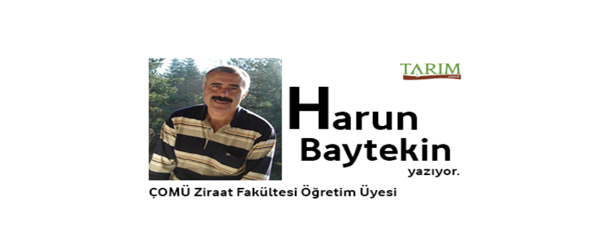 Eskiye Doğru
