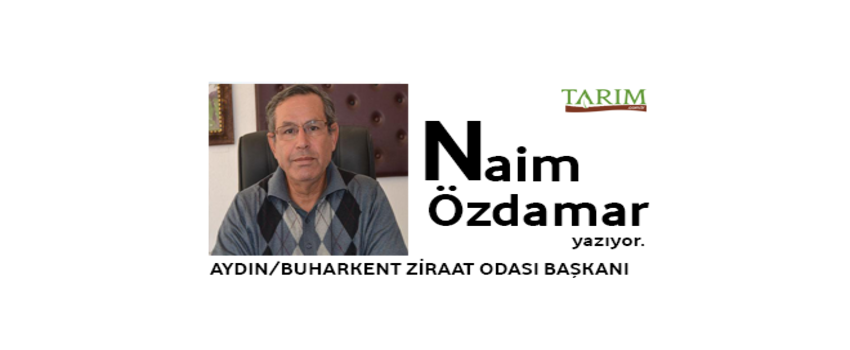 TÜRK TARIMININ GÜNDEMİ-2