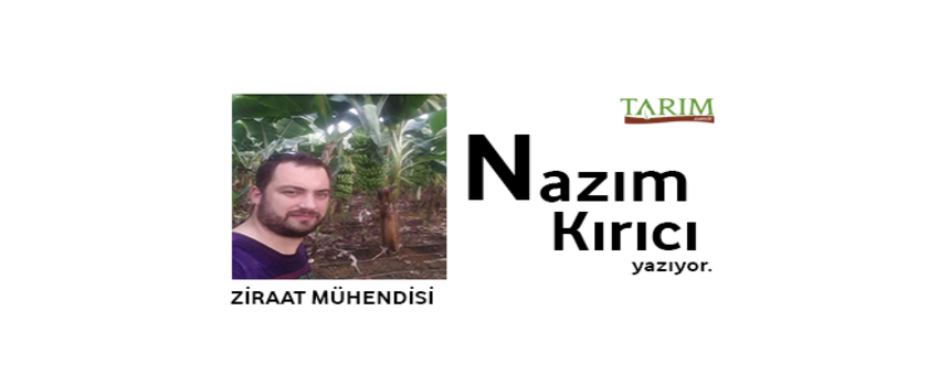 Tarımsal Destek mi Köstek mi?