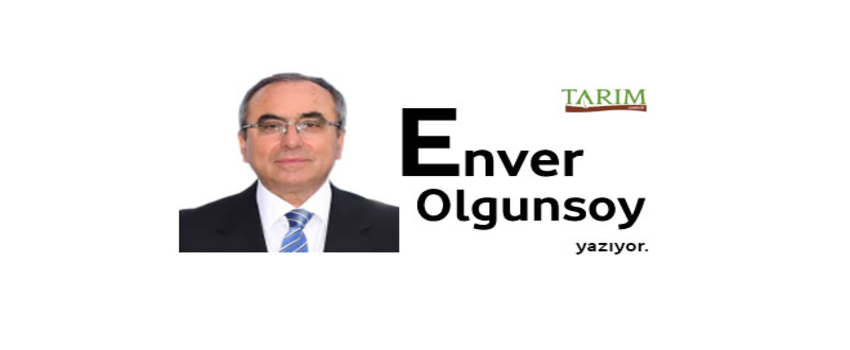 Organik mi Dediniz?