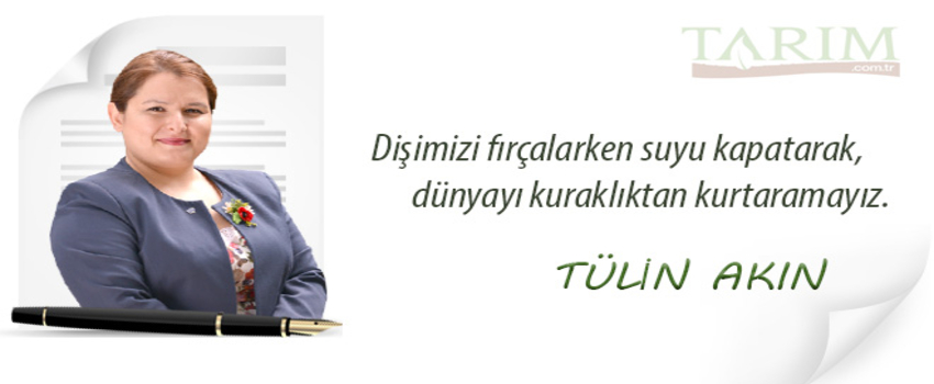 Dişimizi fırçalarken suyu kapatarak dünyayı kuraklıktan kurtaramayız
