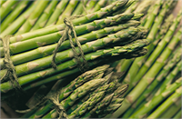 Kuşkonmaz Kuşkonmaz damarlardaki kan akışını hızlandırır Ayrıca damar tıkanıklığına da iyi gelir