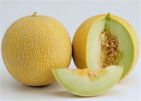 Kavun Kavun gibi sarı turuncu renk sebzeler potasyum açısından oldukça zengindirler Vücut sıvılarında sodyum potasyum dengesinin sağlanması için her gün 2 porsiyon meyve tüketmeniz ödemi engellemektedir