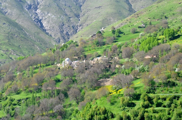 Bitlis in Hizan ilçesine bağlı Çayır köyünde yaşayan köylüler sağlıklı yaşam için köyde sigara içmiyor ve çevre temizliği konusunda duyarlılık göstererek hayvanlarını köyün dışında besliyor Ayrıca köyde tarlalarda bostanlarda sadece erkekler çalışıyor