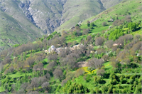 Bitlis in Hizan ilçesine bağlı Çayır köyünde yaşayan köylüler sağlıklı yaşam için köyde sigara içmiyor ve çevre temizliği konusunda duyarlılık göstererek hayvanlarını köyün dışında besliyor Ayrıca köyde tarlalarda bostanlarda sadece erkekler çalışıyor