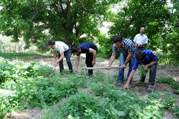 Hizan ilçesine 38 kilometre uzaklıktaki 25 haneli Çayır köyü çevre ve insan sağlığına gösterdiği hassiyetle biliniyor Köyün eski muhtarı Etem Erdoğan ın 25 yıl önce muhtarlığa ilk seçildiği dönemde başlattığı kampanya ile köyde kötü kokular yayılmasın diyerek ilk kez büyükbaş hayvan beslenmemesi ve erkeklerin daha çok çalışması kararı alındı
