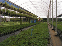 Kuzey Etiyopya daki tarımcıların zorlu hava şartları ile mücadelesini kolaylaştırmak amacıyla bu teknolojik serayı icat eden şirket iyi bir gelecek için ve Afrika gibi çok kurak yerlerdeki insanların tarım yapabilmesi için bu icadın yeterli olacağına inanıyorlar