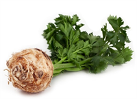 Kereviz Kerevizde B vitamini ve demir vardır Kereviz unutkanlığı ve sinir yorgunluğunu giderir idrar söker böbrek taş ve kumlarının düşürülmesine yardım eder karaciğeri temizler Şeker yüksek tansiyon ve romatizmada da faydalıdır