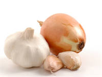 Soğan ve sarımsak Yüksek tansiyon ve kalp hastalığı tehlikesini azaltırlar Soğan mide kanserine yakalanma riskini sarımsak da bağırsak kanserine yakalanma riskini azaltır Sarımsağın mayasında bulunan maddeler hücrelerin zarar görmesini önleyerek vücudu erken yaşlanmaya karşı koruyor Antibiyotik ve nefes darlığını gideren bileşimler içeren sarımsak bağışıklık sistemini de kuvvetlendiriyor Soğan içerdiği kimyasal maddelerle kalbimizi güçlendiriyor ve alerjik reaksiyonları engelliyor