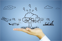 Tek bir ağaç bir arabanın 4 bin kilometrede oluşturduğu karbon kirliliğini yok edebilme kapasitesindedir